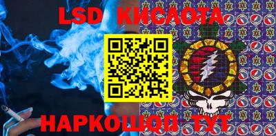 крисы Камышлов