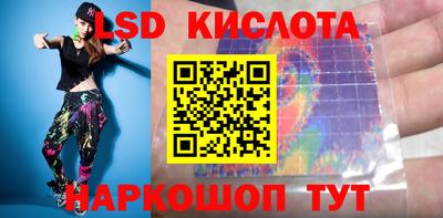 крисы Камышлов